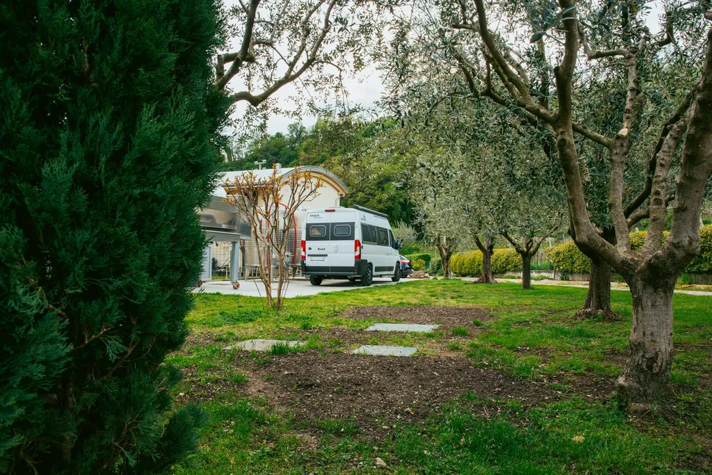 Wineyard camping