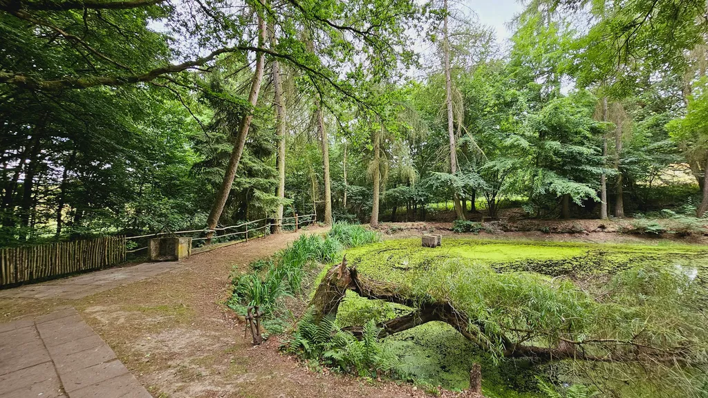 Teich im Wald, sehr ruhig 25000m2