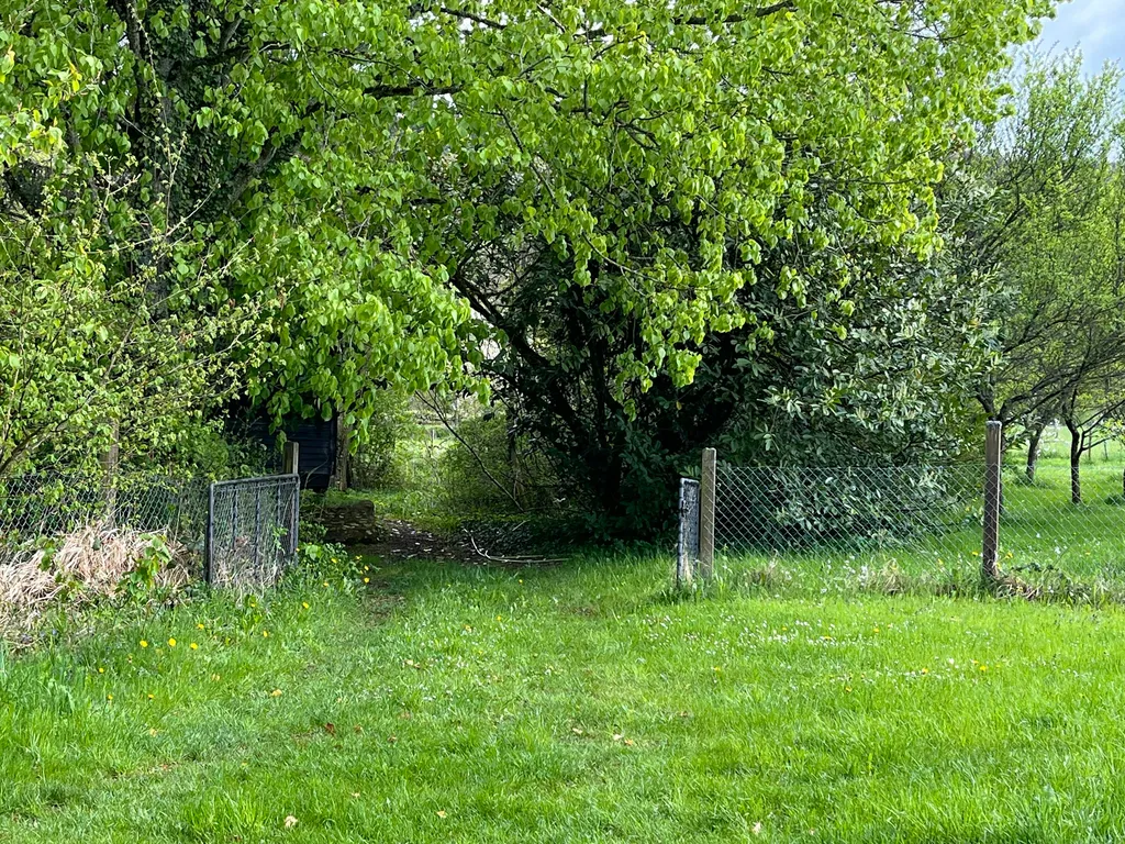 Place ombragée et seule