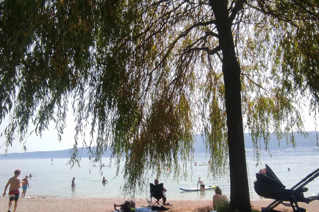 Bild von Katrin für den Spot 4407