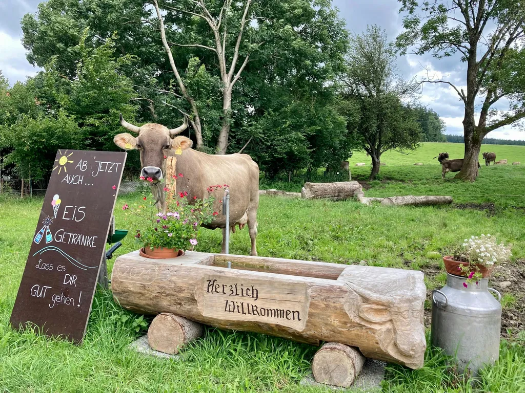 Alte Reserve