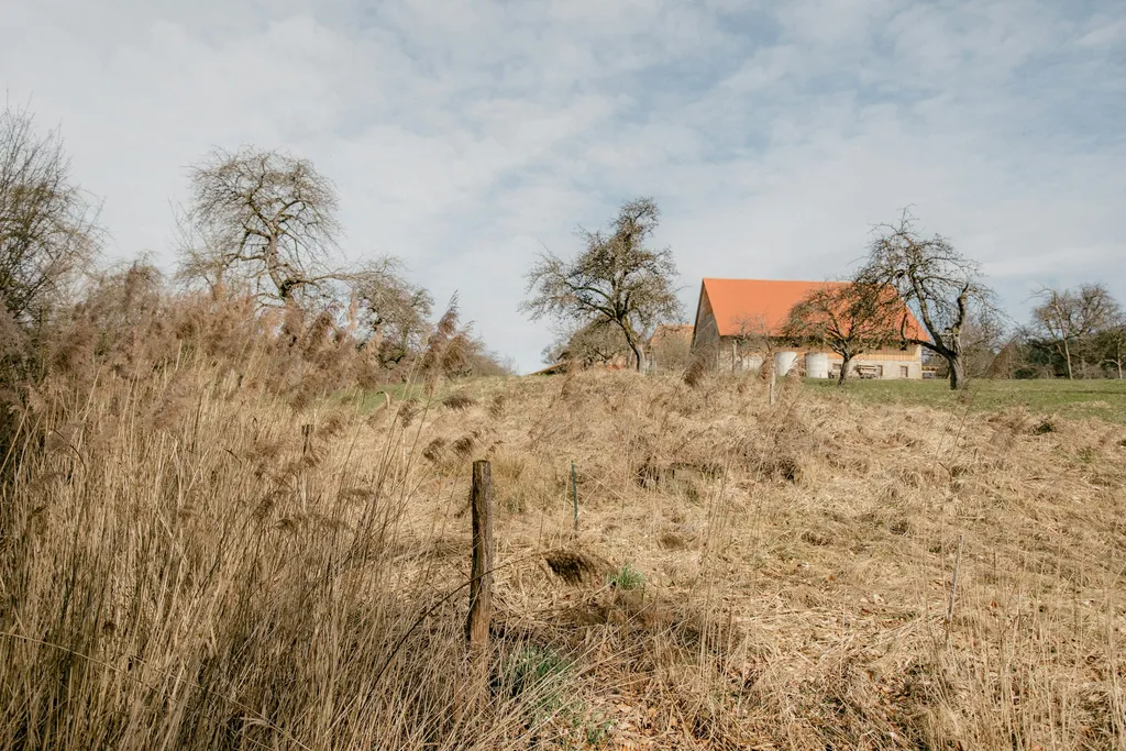 Zelt- und Stellplätze im Grünen