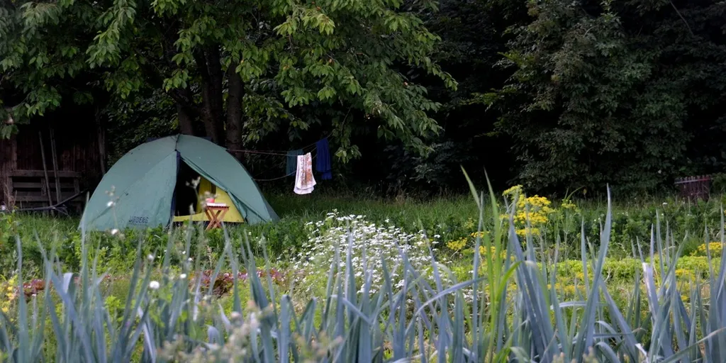 Mit Blick auf den grünen Daumen