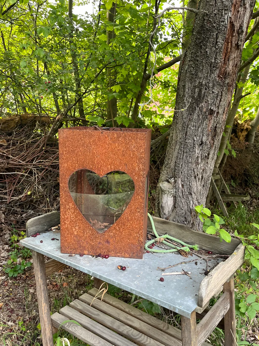 Bild von Ulrich M. für den Spot 2523