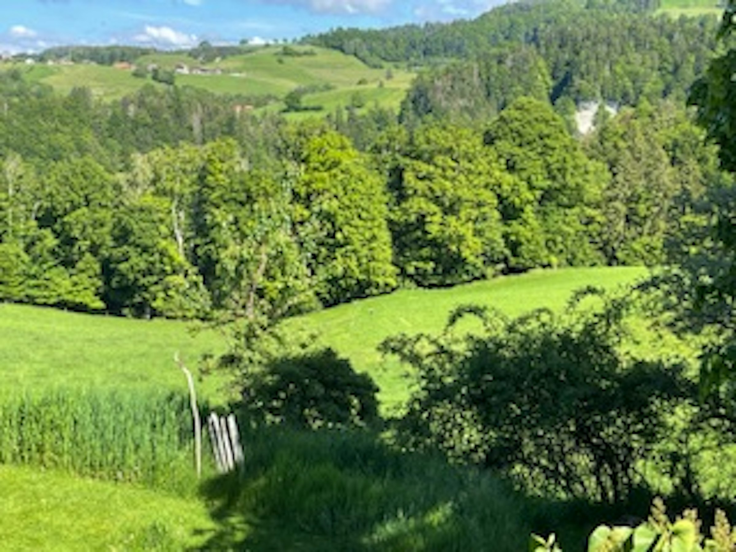 Wo einst die Ritter lebten