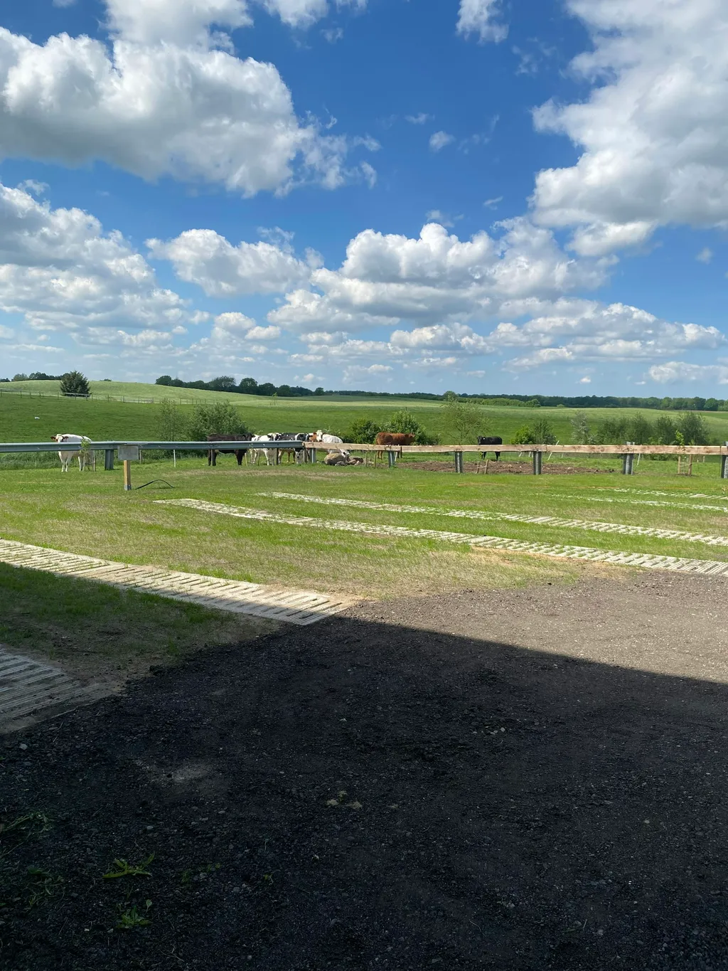 Schöner Ausblick hinterm Hof