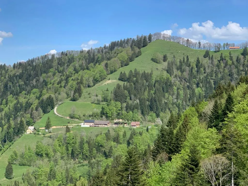 Camping Pod mitten im Naturgarten
