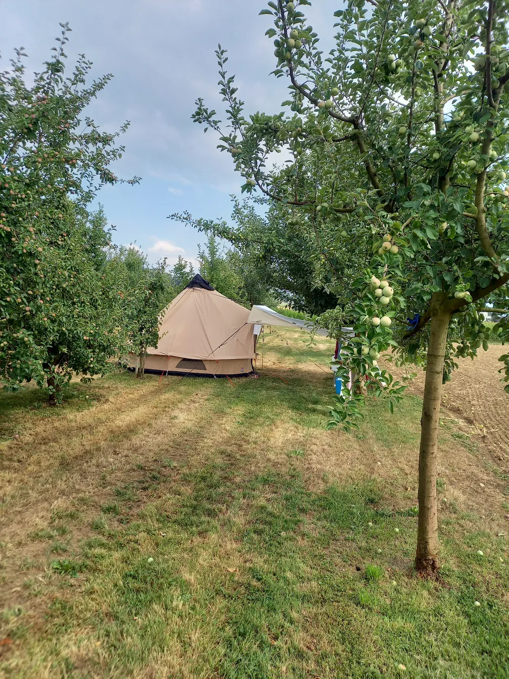 Schlössli-Camp mit Obstgartenblick