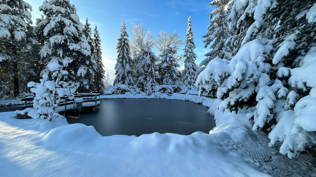 Sunnegg Camp
