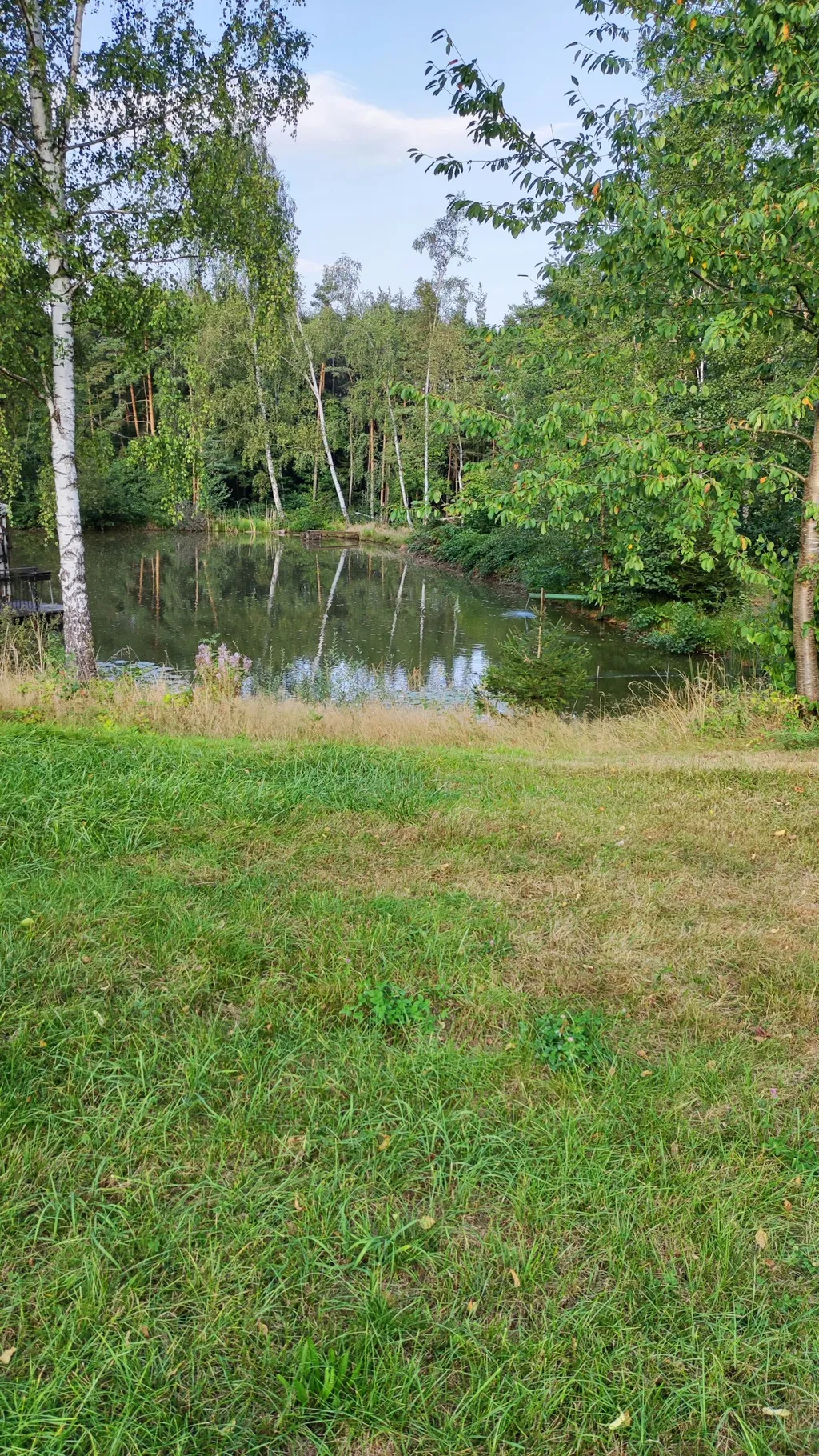 Abgelegene Wiese am Fischweiher