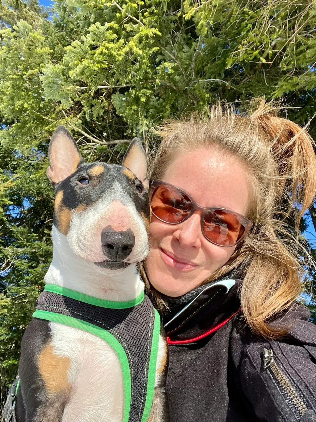 Photo de profil de Sabine