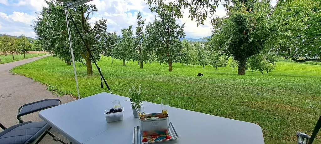 Schlössli-Camp mit Obstgartenblick