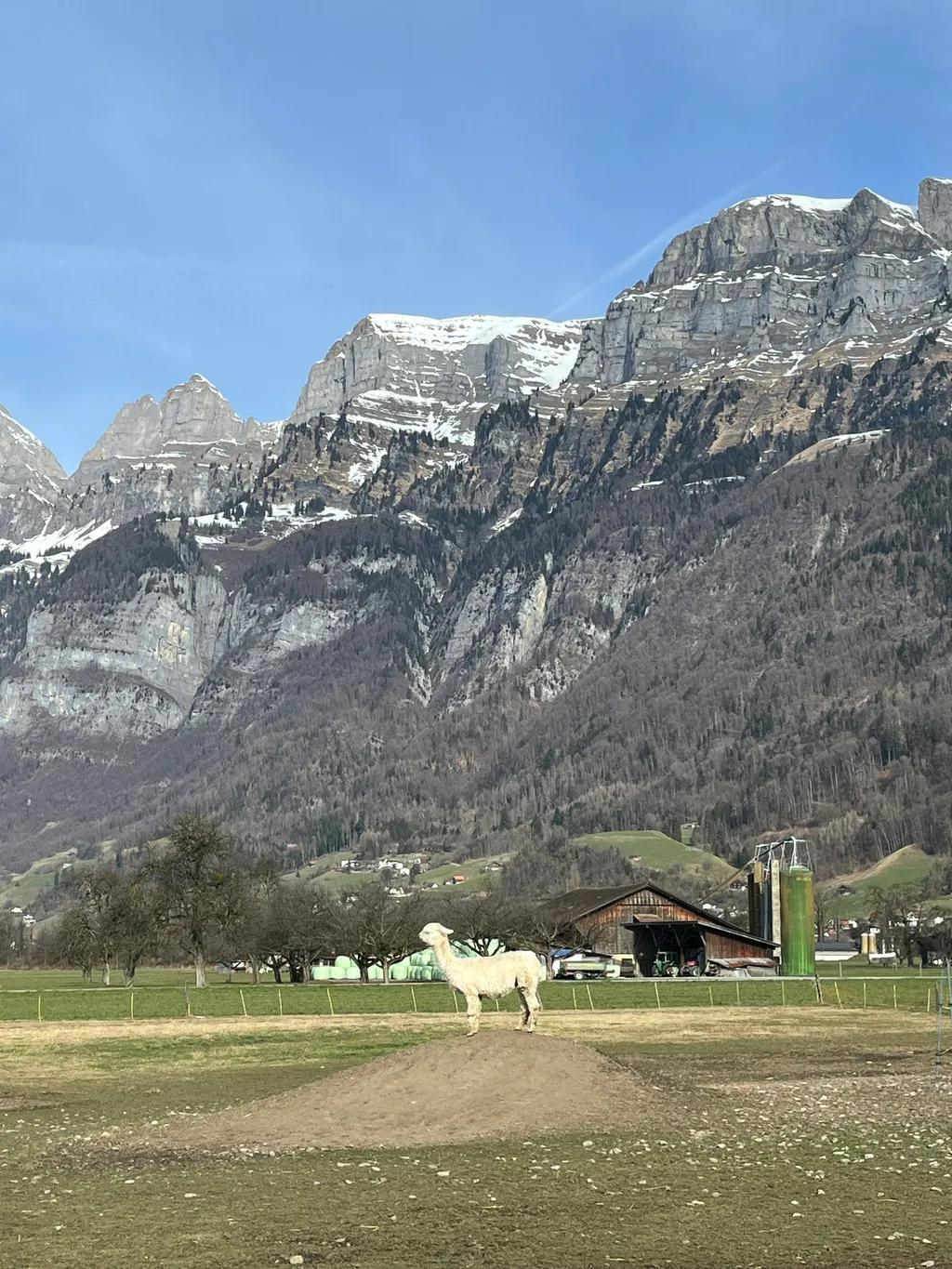 Naturcamping Churfirstenblick