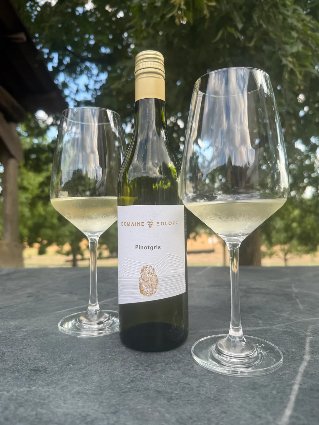 Besuch auf dem Weingut unter einer Linde