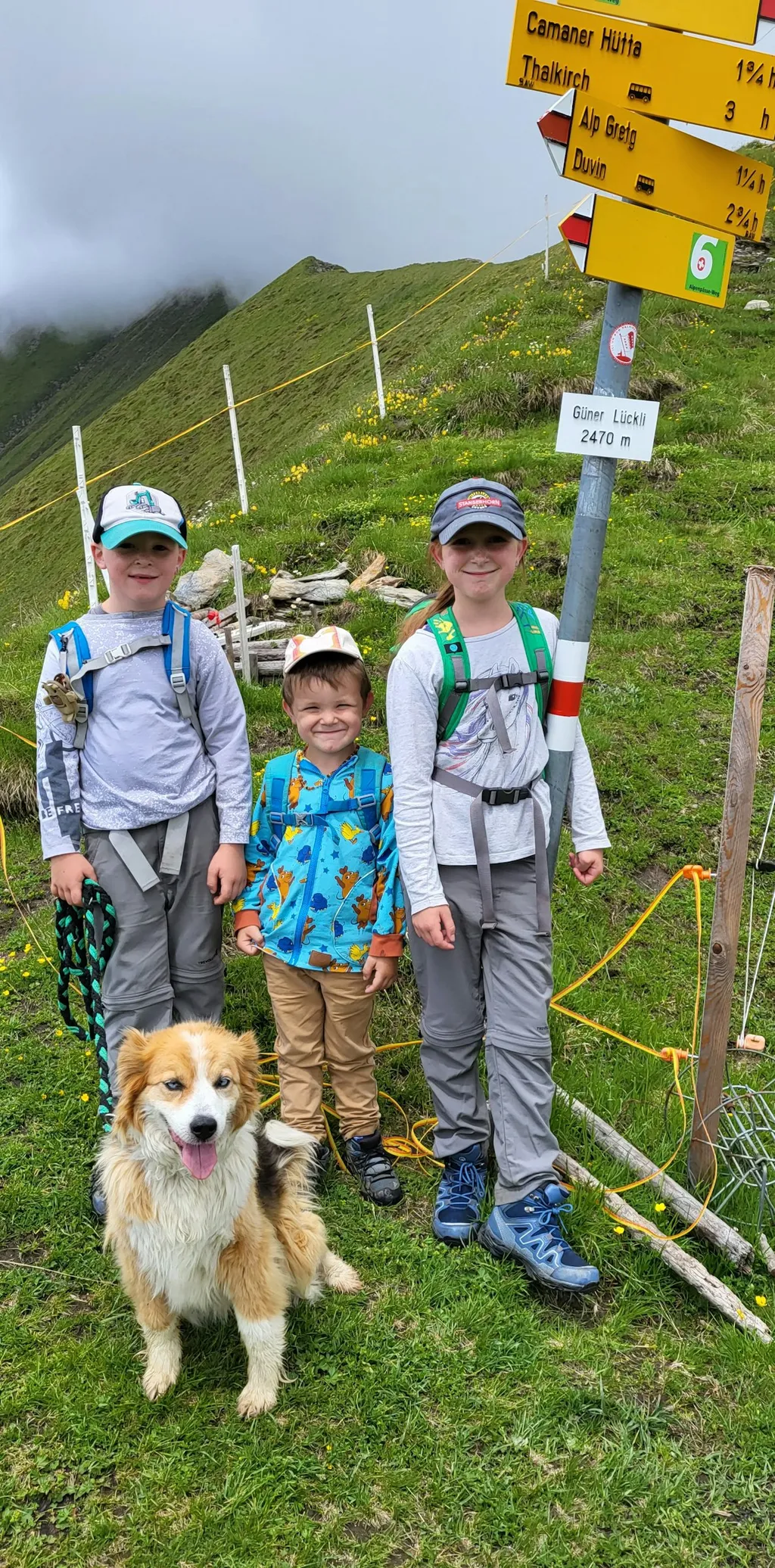 Blick auf die Glarner Berge.