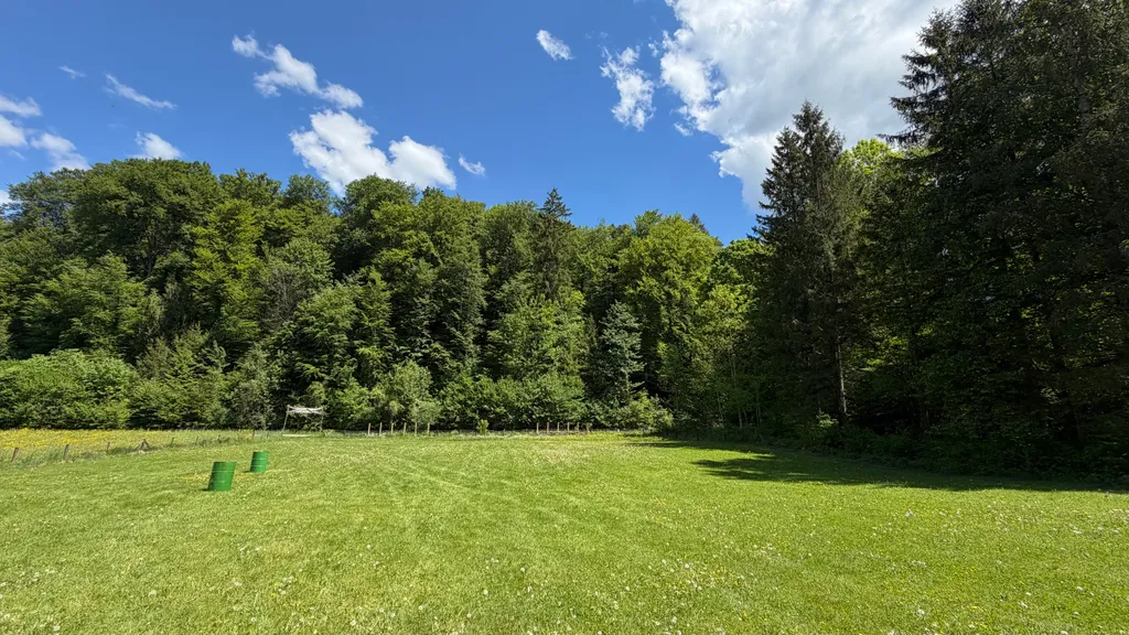 Wiese in Blickrichtung Bach