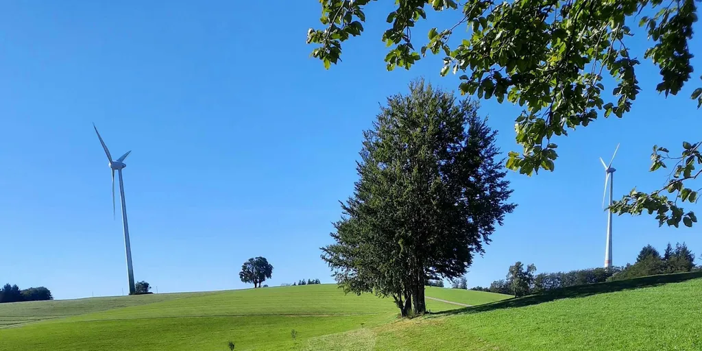 Stellplatz am Schwarzwaldhof