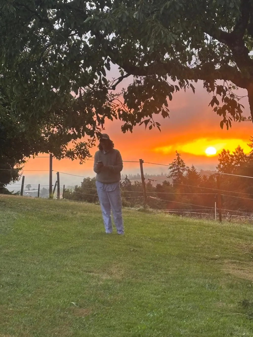 Bild von Dana für den Spot 3728