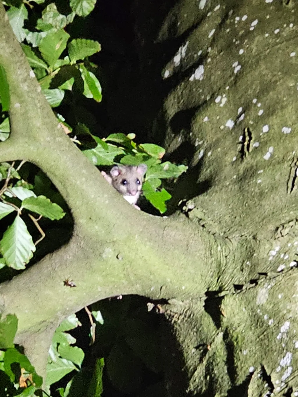 Bild von Jeremy für den Spot 323