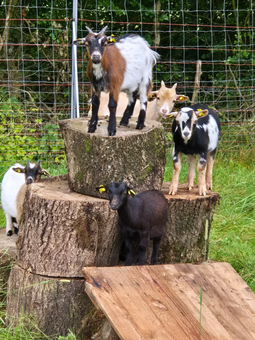 Eifel! Zwischen Bauernhöfen inmitten der Natur