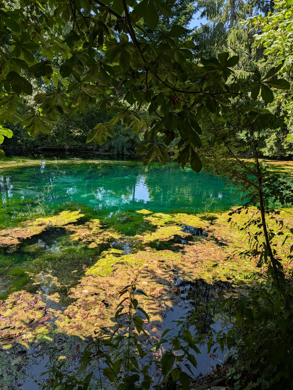 Bild von Elke für den Spot 3436