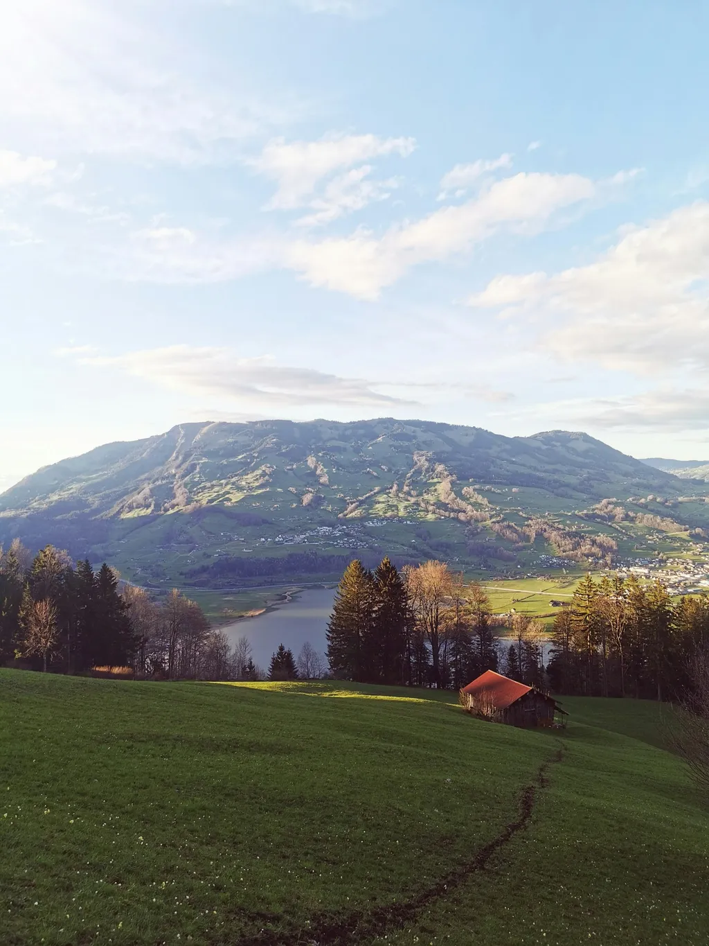 MONDHOLZ TINY HOUSE in purer Natur