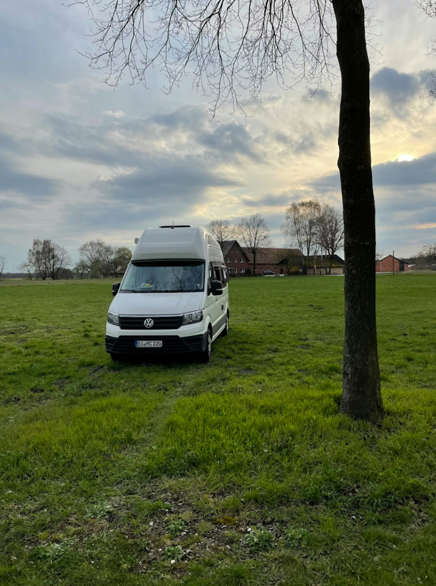 Ruhige Wiese - Im Grunde