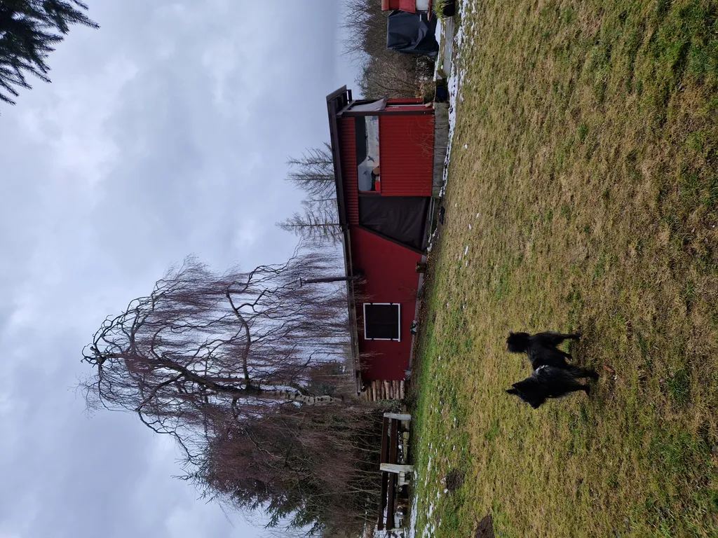 Bild von Katharina für den Spot 1440