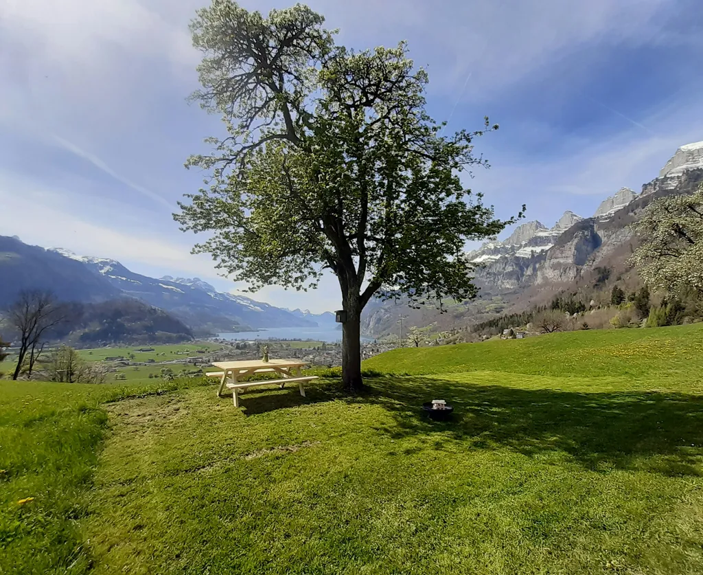 Loops Stalloase Camp Gnols