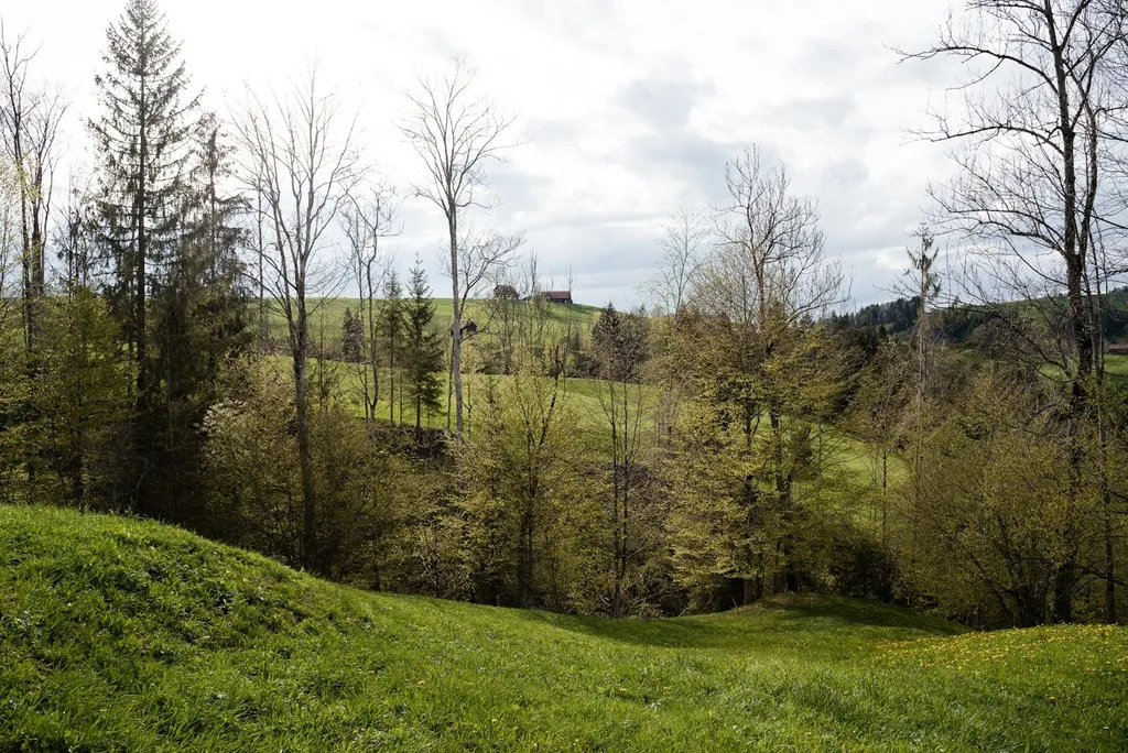 Romantik am Jakobsweg