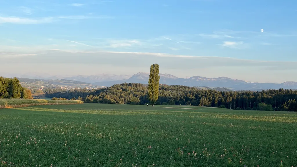 Bild von Marianne für den Spot 539