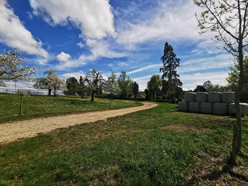 Biohof Hübeli Hofstatt