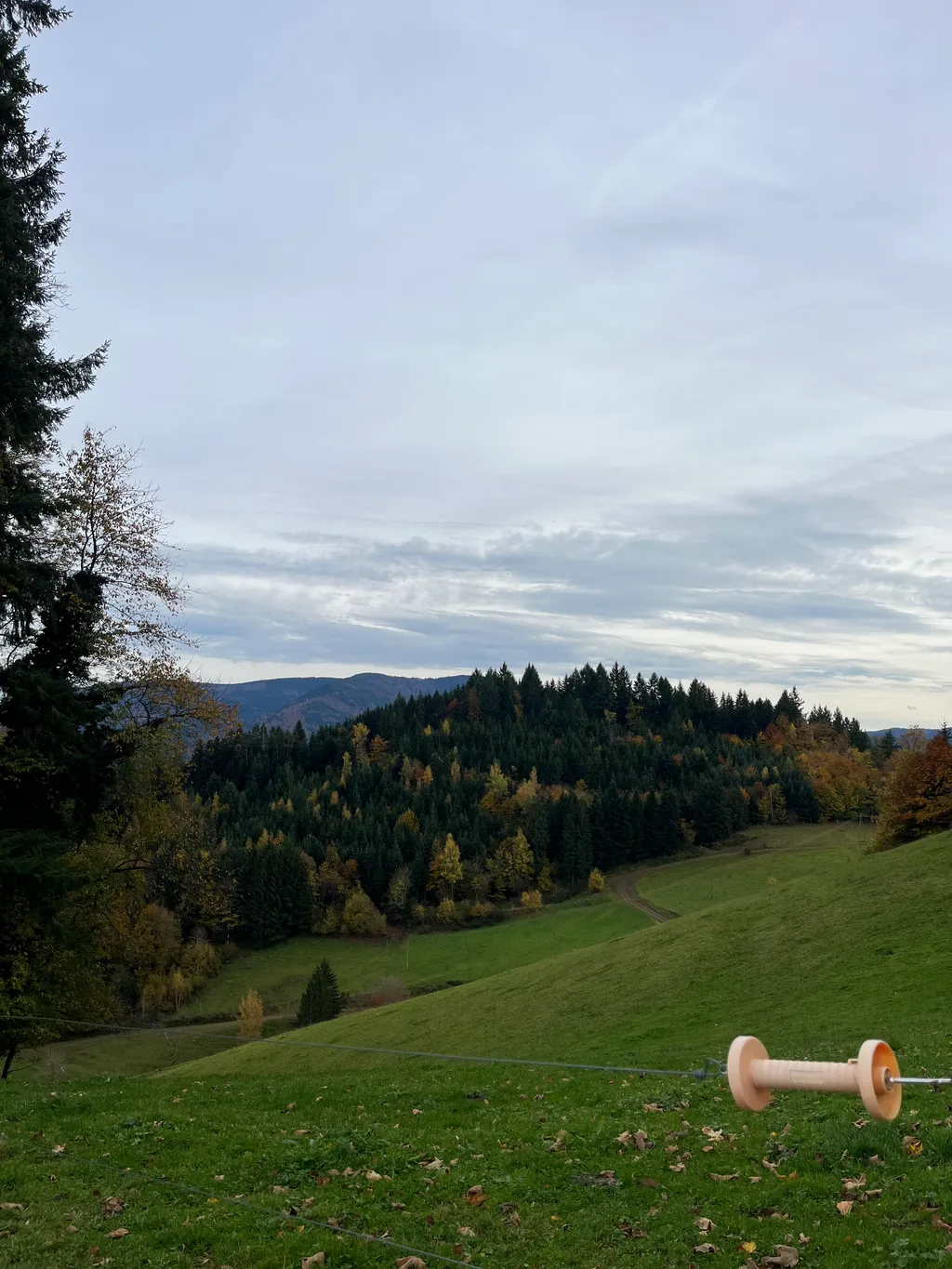 Bild von Nicoletta für den Spot 1308