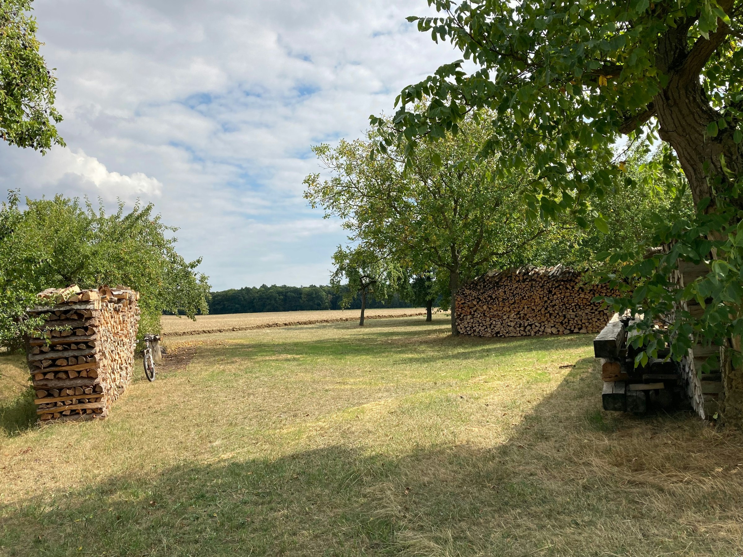 Unter den Obstbäumen