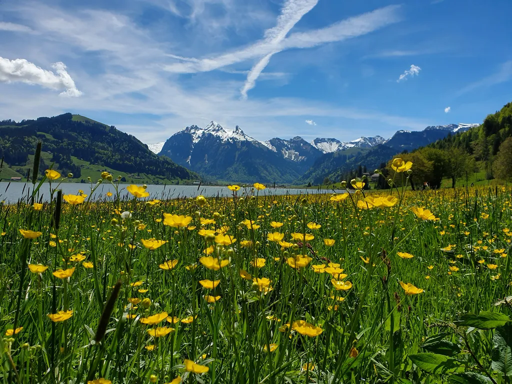 Camp Ahornweid beim Sihlsee