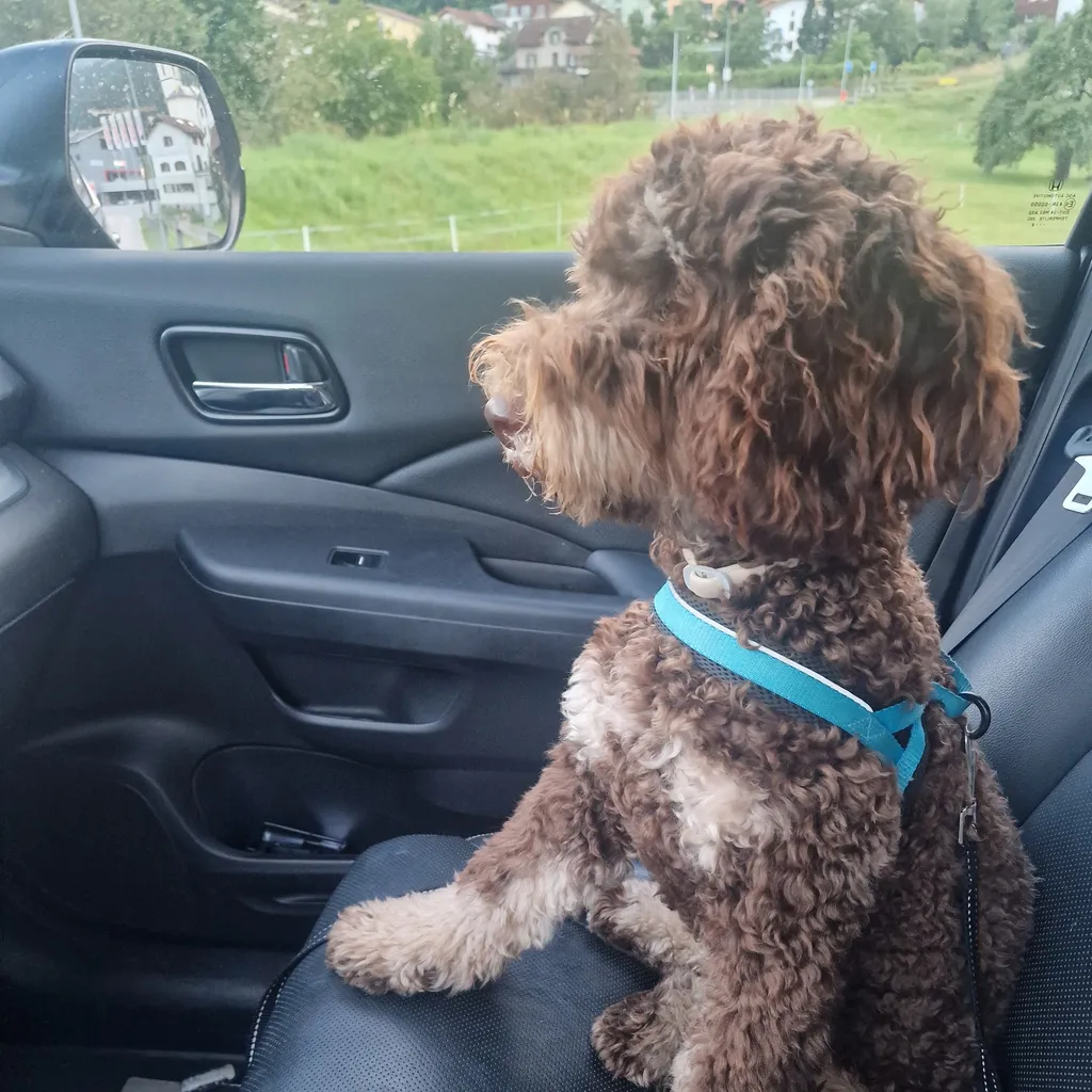 Profilbild von Corinne