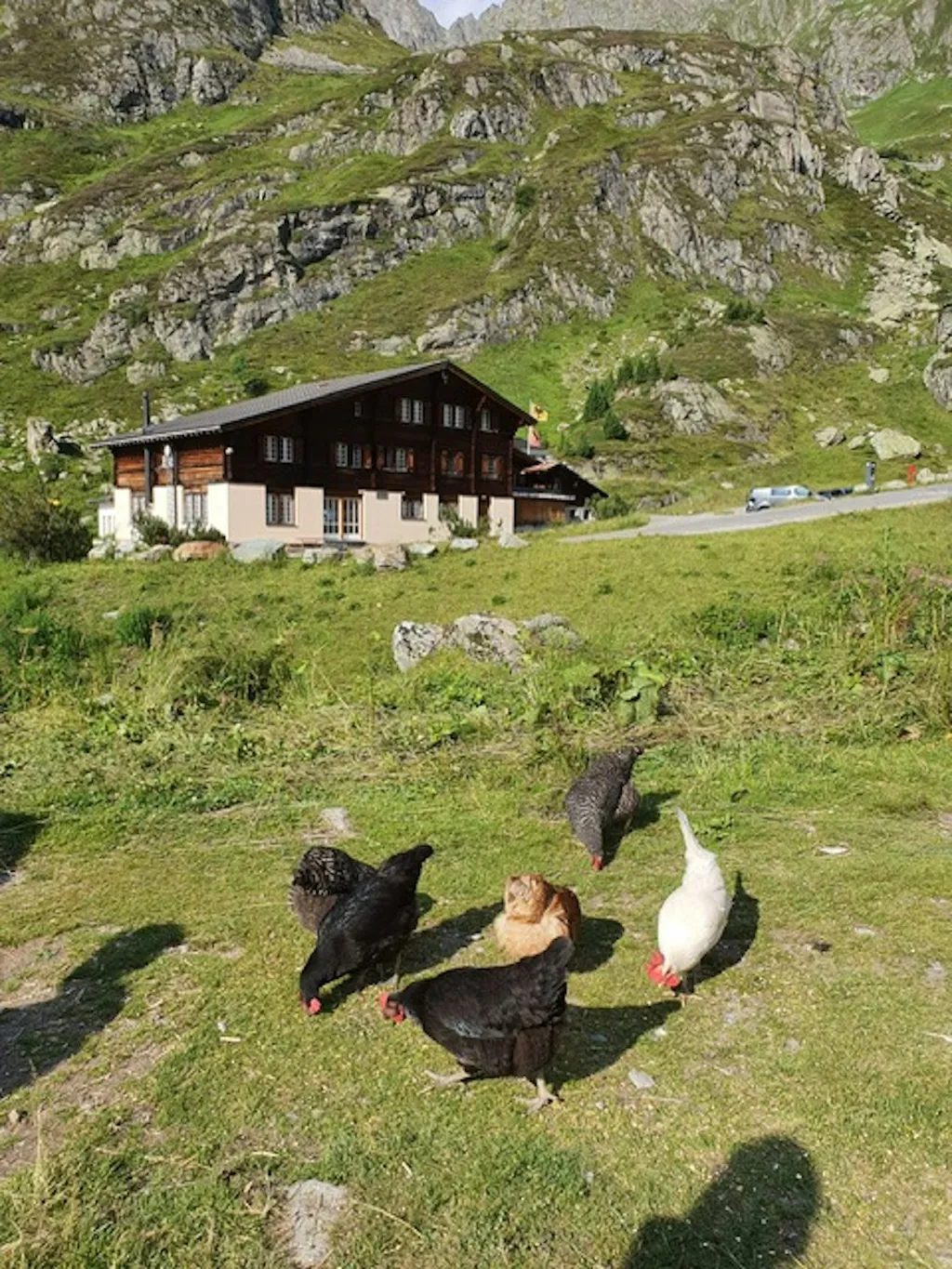 Lebe und spüre die Bergwelt