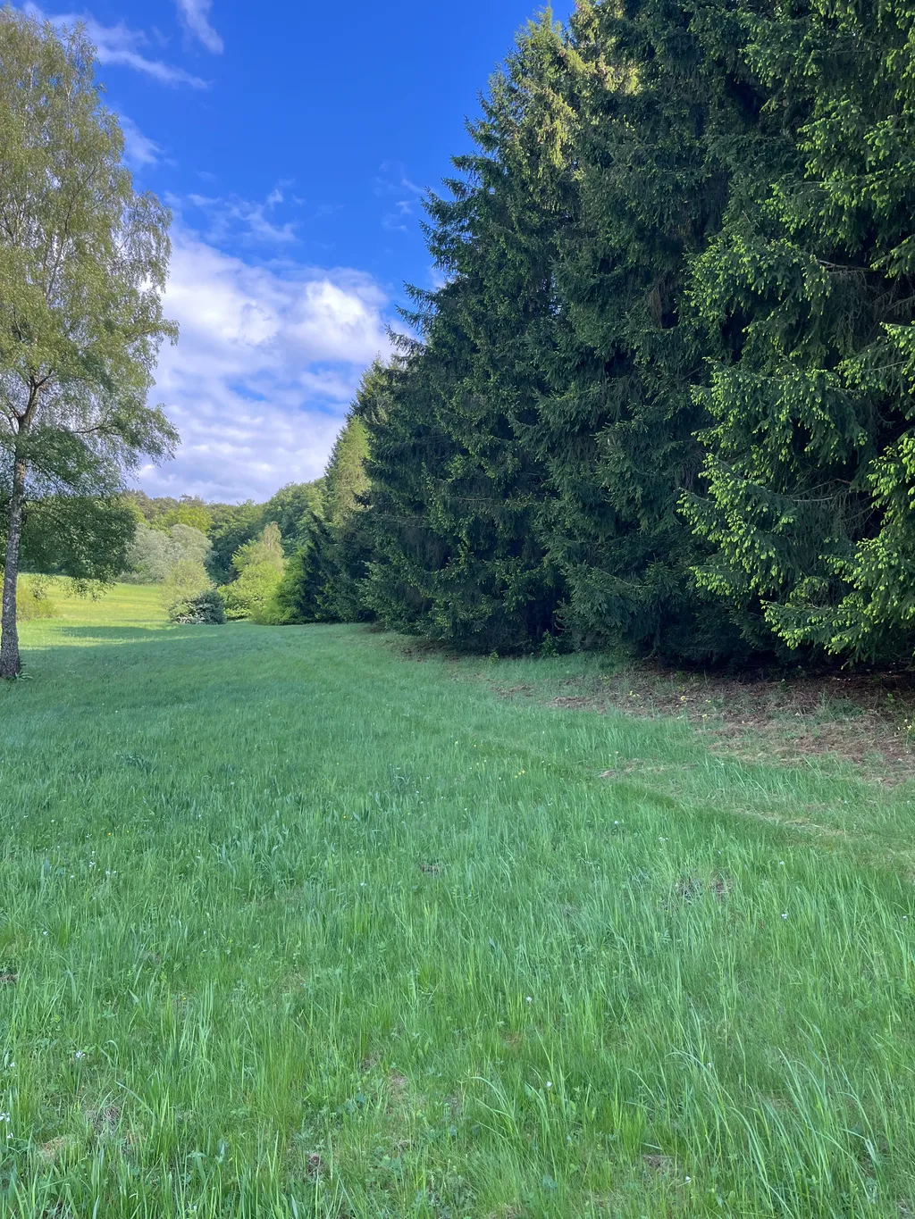 Naturstellplatz mitten im Grünen