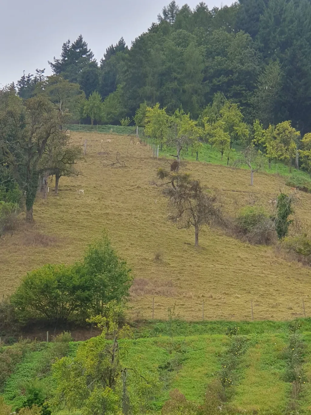 Bild von Sandy & Roli für den Spot 3689