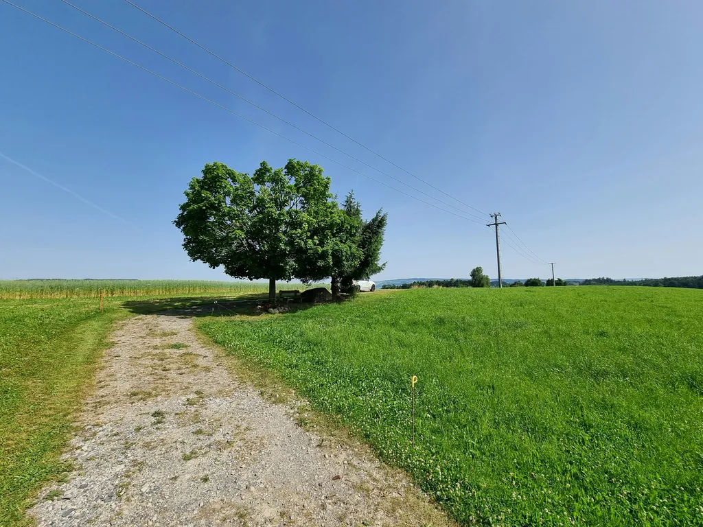 Bänkli von Herrendingen