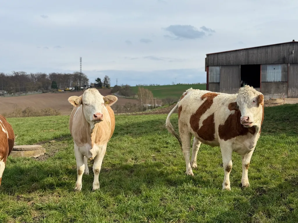 Bild von Jochem für den Spot 1876