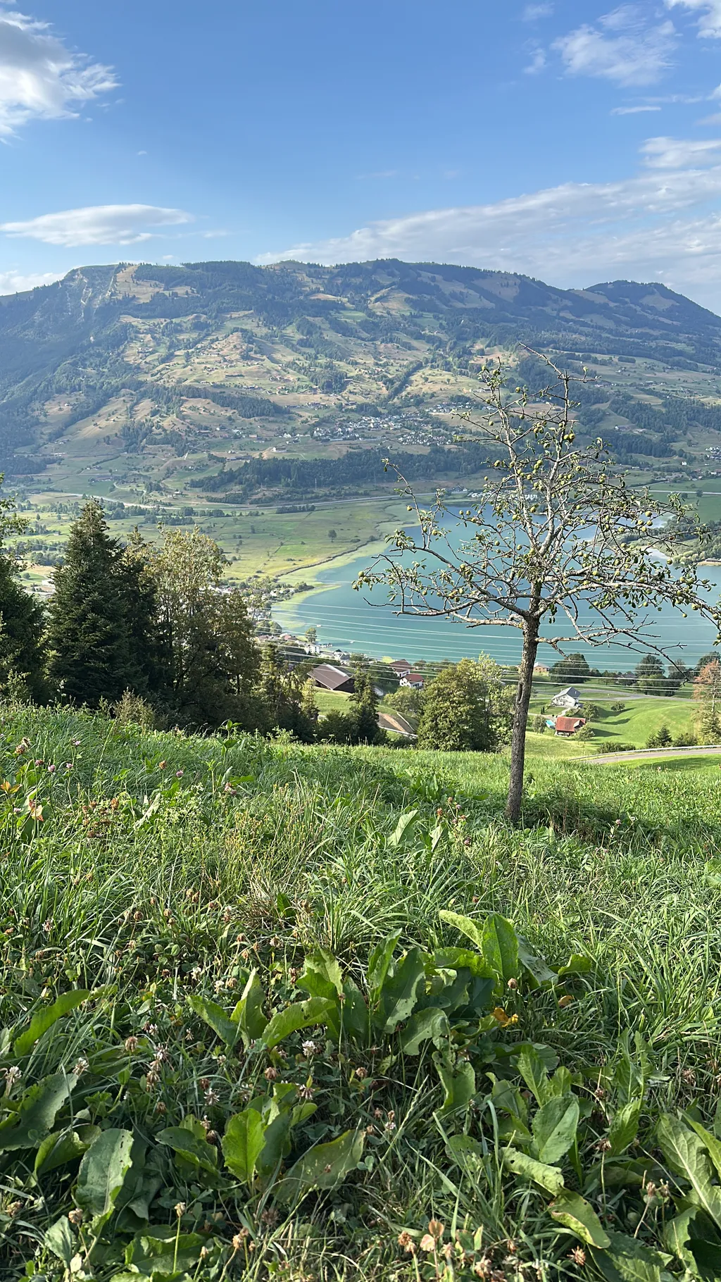 Bild von Laurence für den Spot 365