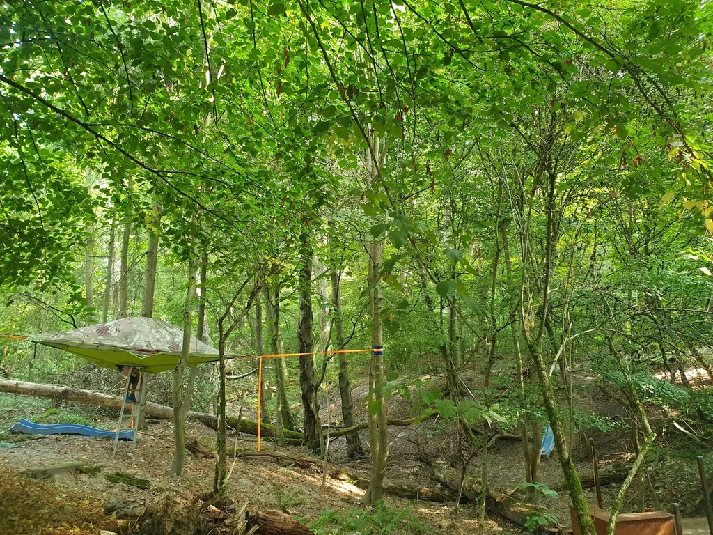 Wilde Übernachtung im Baumzelt