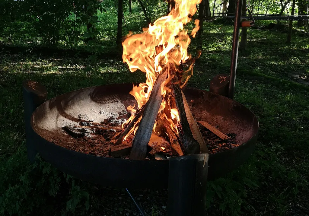 Hundewiese an der Wolfegger Ach 🐶