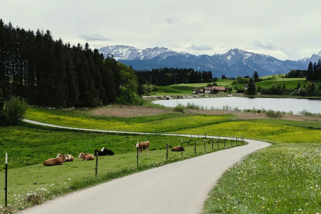 Irgendwo im Nirgendwo