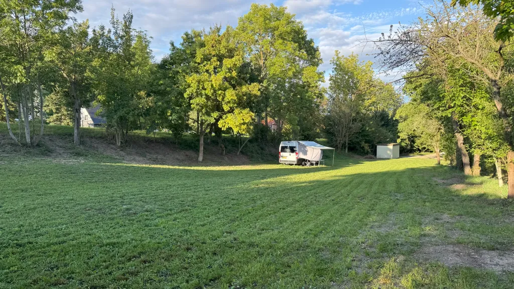 Wiese zwischen Saale & Weinbergen