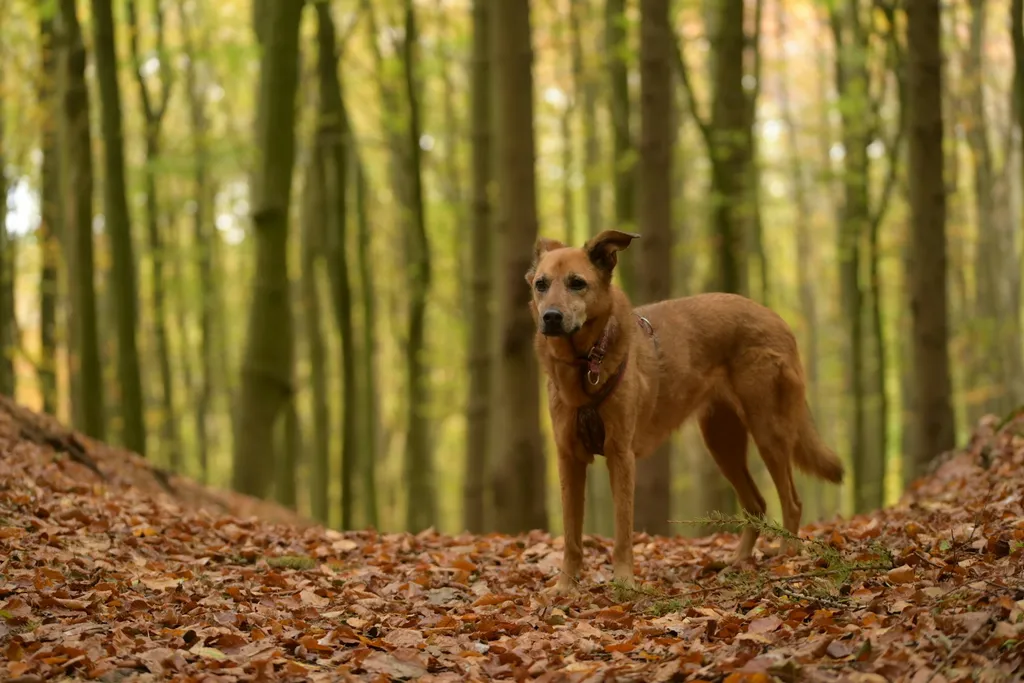 Profilbild von Liane