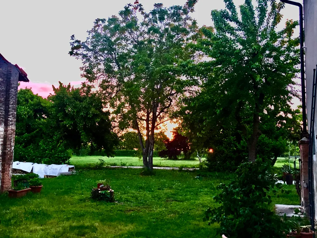 SERENITA' DELLA CAMPAGNA