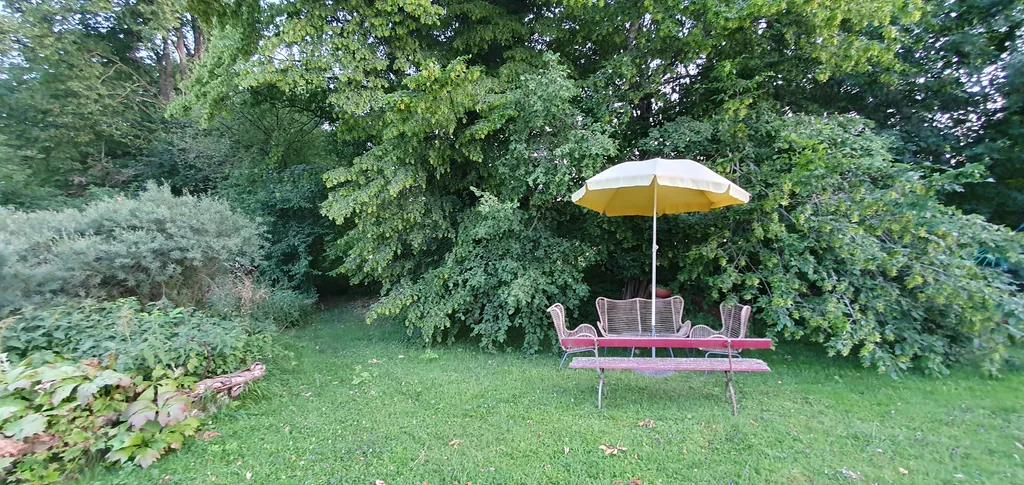 Schattenplatz unter Buchen am Bächlein