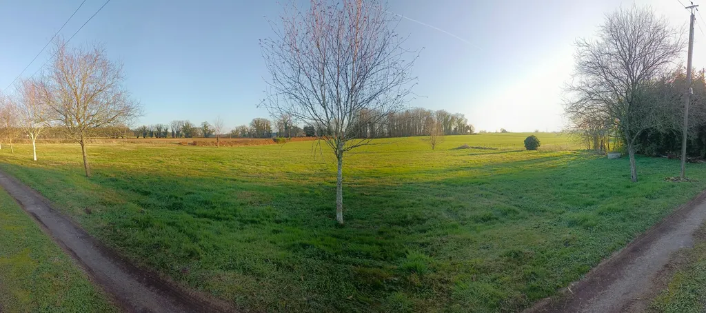 Ein Platz im Grünen